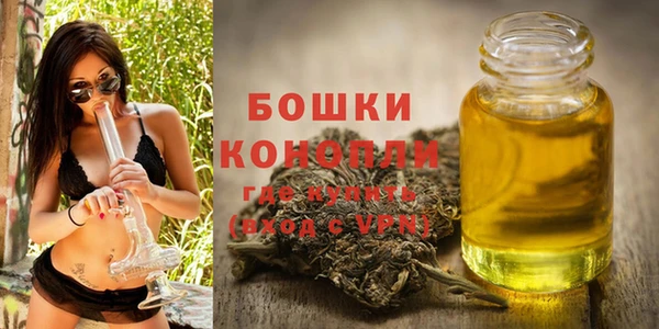 трава Беломорск