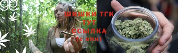 гашик Белоозёрский