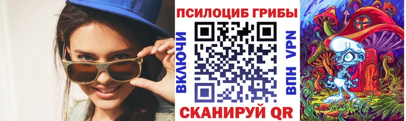 купить  цена  Соль-Илецк  Псилоцибиновые грибы Psilocybine cubensis 