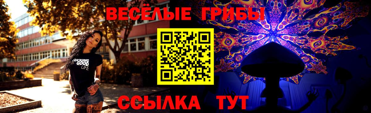 Соль-Илецк  Псилоцибиновые грибы ЛСД  Вход с VPN 